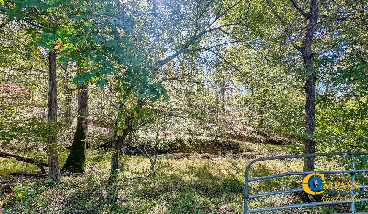 Middle Fork West Tennessee Land for Sale-55