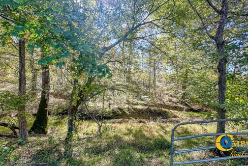 Middle Fork West Tennessee Land for Sale-55