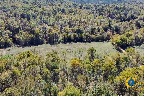 Middle Fork West Tennessee Land for Sale-58