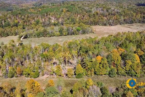 Middle Fork West Tennessee Land for Sale-63