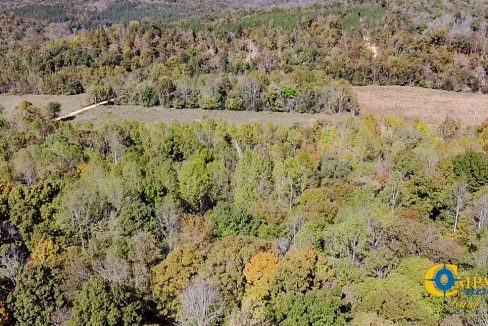 Middle Fork West Tennessee Land for Sale-64