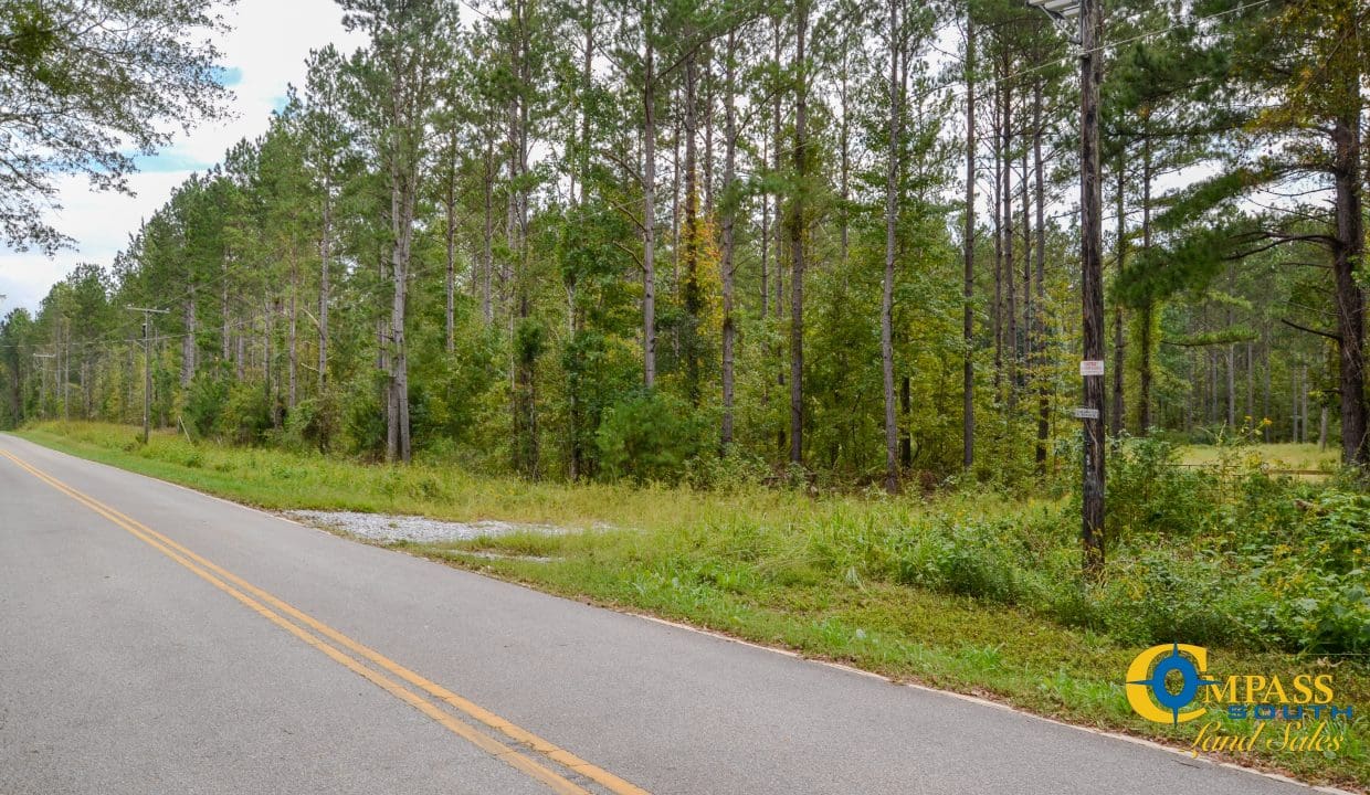 Padgett's Creek Land for Sale in South Carolina-01