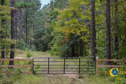 Padgett's Creek Land for Sale in South Carolina-02