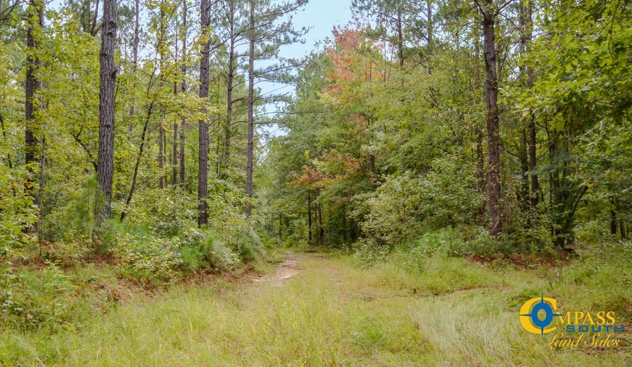 Padgett's Creek Land for Sale in South Carolina-04