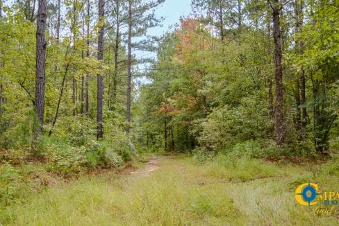 Padgett's Creek Land for Sale in South Carolina-04