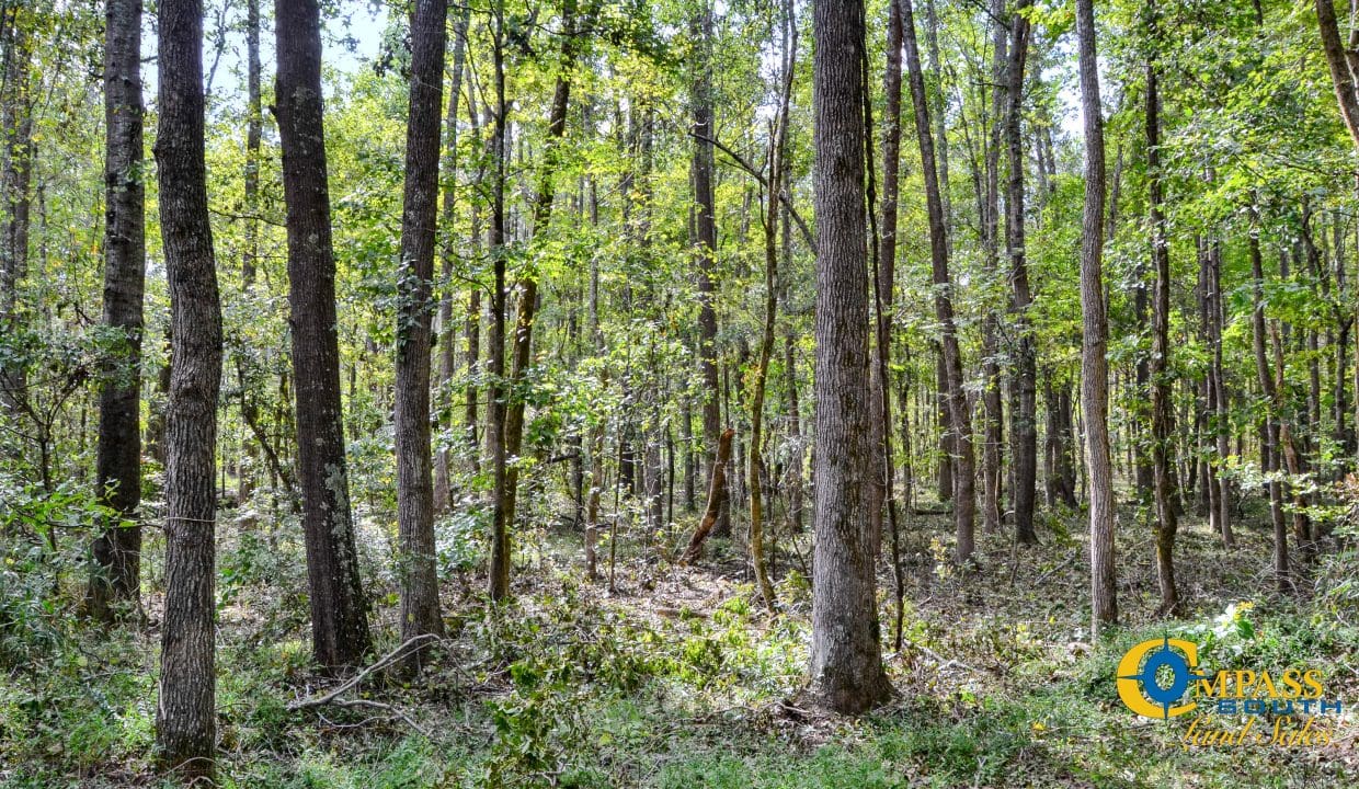 Padgett's Creek Land for Sale in South Carolina-17