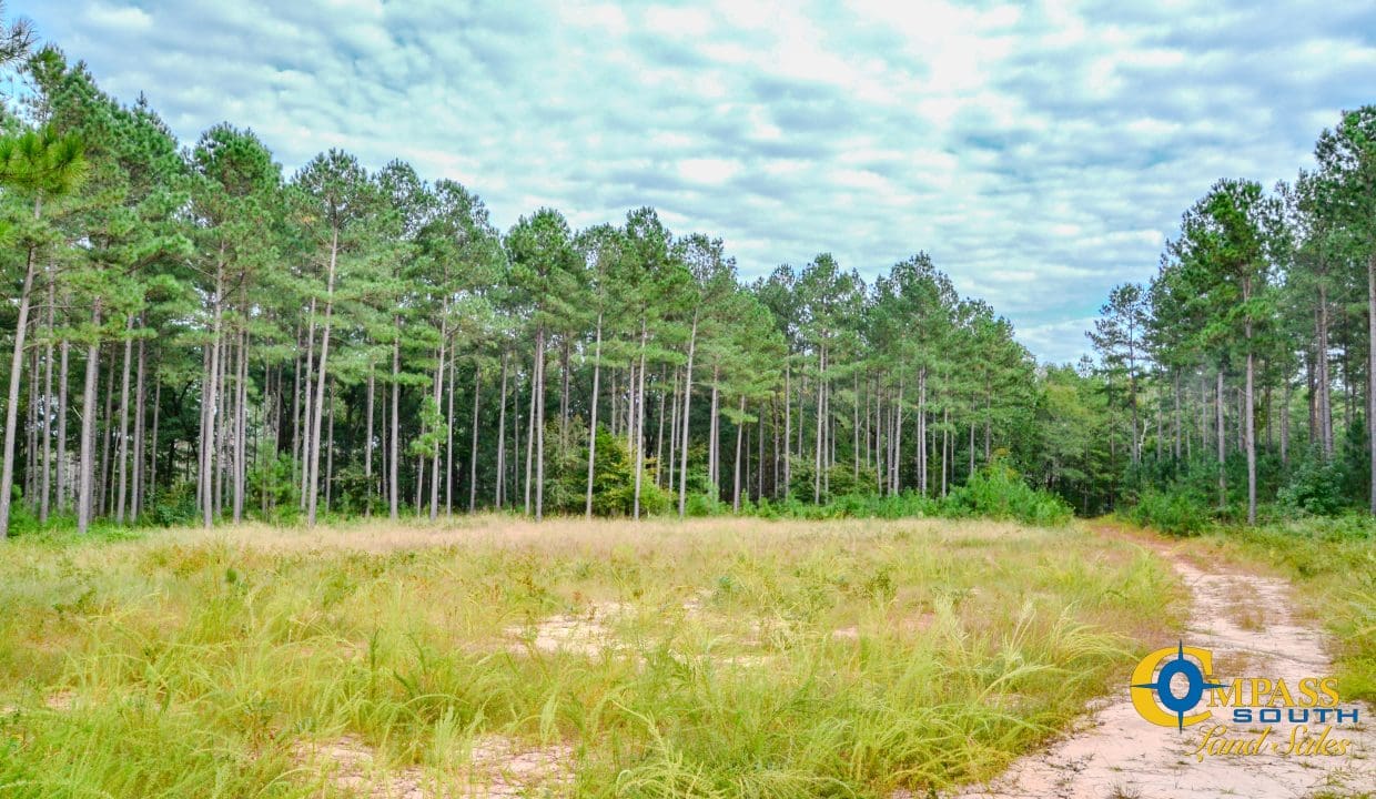 Padgett's Creek Land for Sale in South Carolina-38