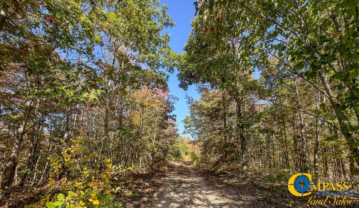 Pleasantville South Hunting Tennessee Land for Sale-35