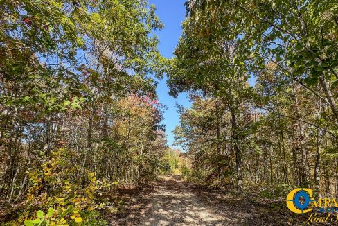 Pleasantville South Hunting Tennessee Land for Sale-35