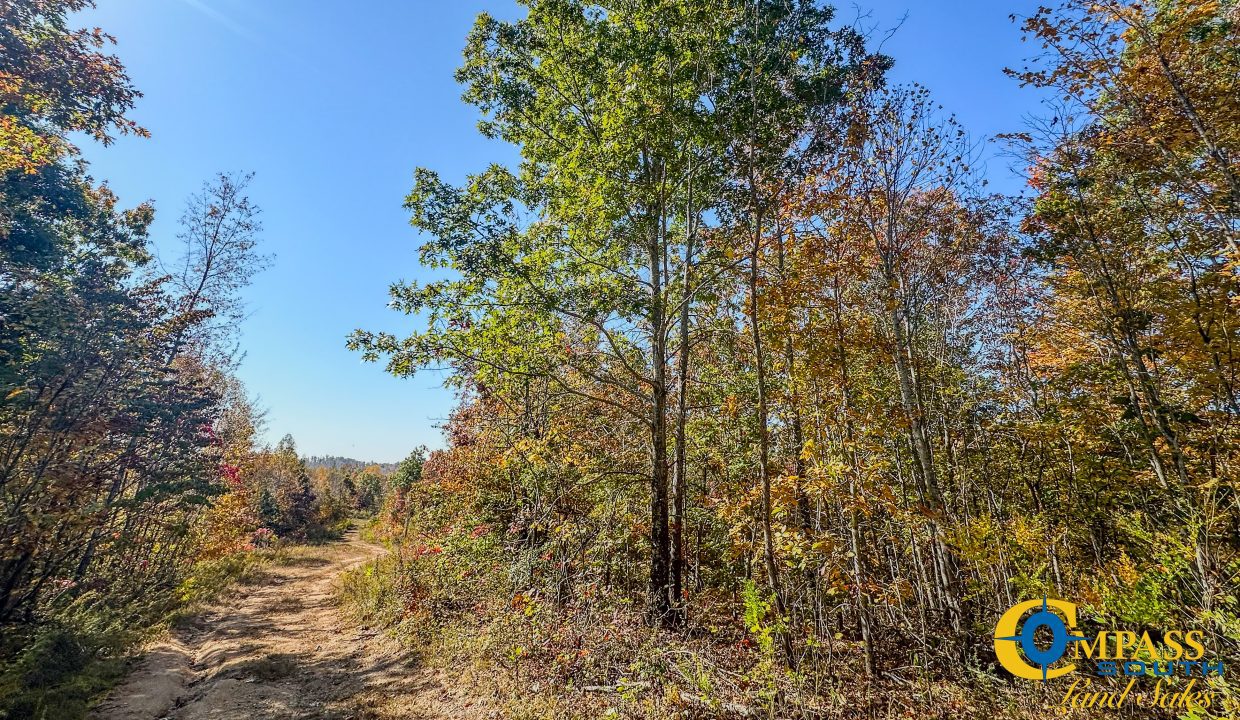 Pleasantville South Hunting Tennessee Land for Sale-37