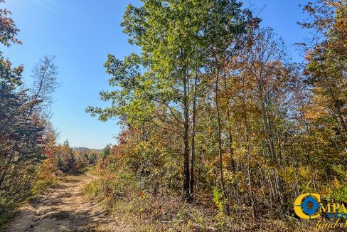 Pleasantville South Hunting Tennessee Land for Sale-37