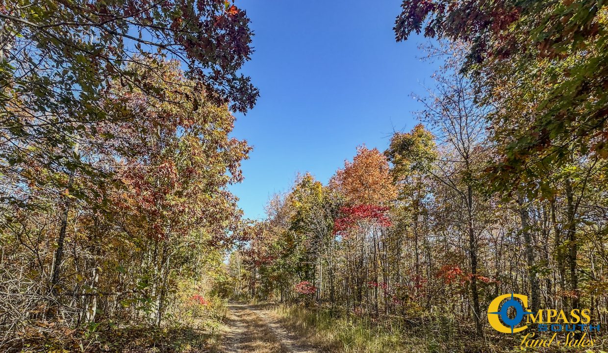 Pleasantville South Hunting Tennessee Land for Sale-38