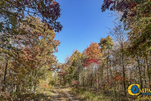 Pleasantville South Hunting Tennessee Land for Sale-38