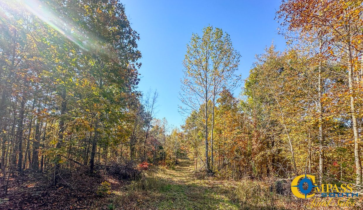 Pleasantville South Hunting Tennessee Land for Sale-39