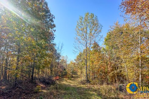 Pleasantville South Hunting Tennessee Land for Sale-39