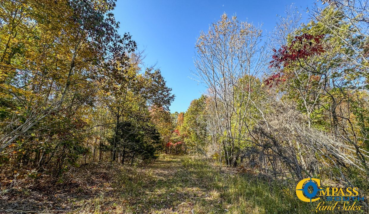 Pleasantville South Hunting Tennessee Land for Sale-40