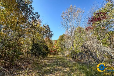 Pleasantville South Hunting Tennessee Land for Sale-40