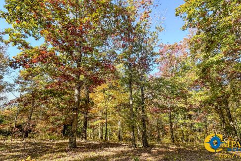 Pleasantville South Hunting Tennessee Land for Sale-41