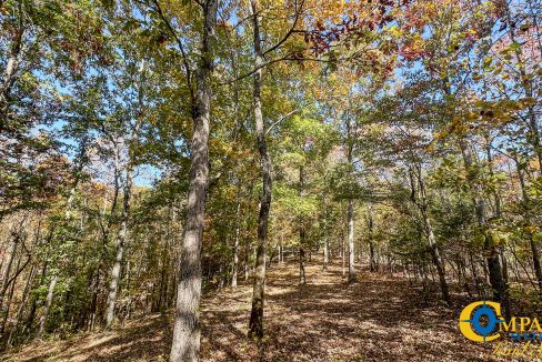 Pleasantville South Hunting Tennessee Land for Sale-42