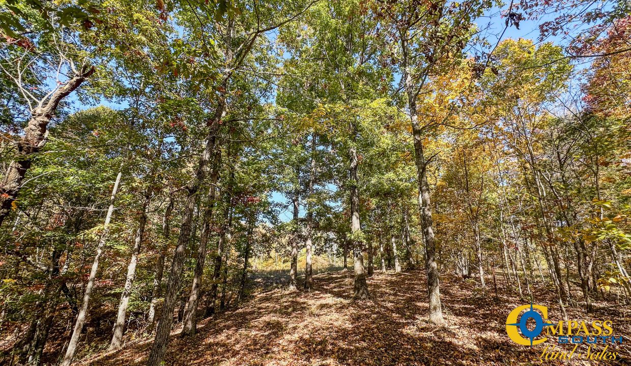 Pleasantville South Hunting Tennessee Land for Sale-44