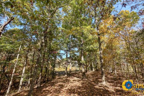 Pleasantville South Hunting Tennessee Land for Sale-44