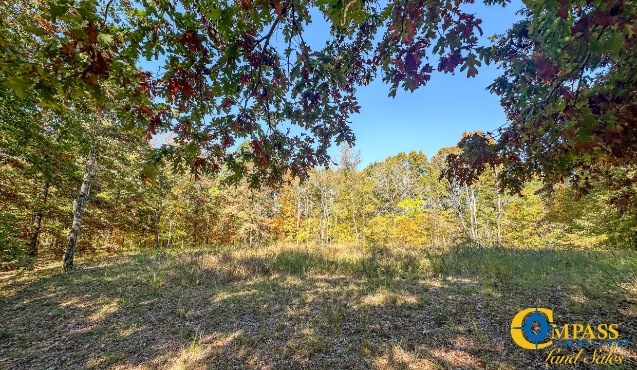 Pleasantville South Hunting Tennessee Land for Sale-45