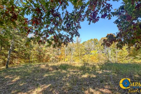 Pleasantville South Hunting Tennessee Land for Sale-45