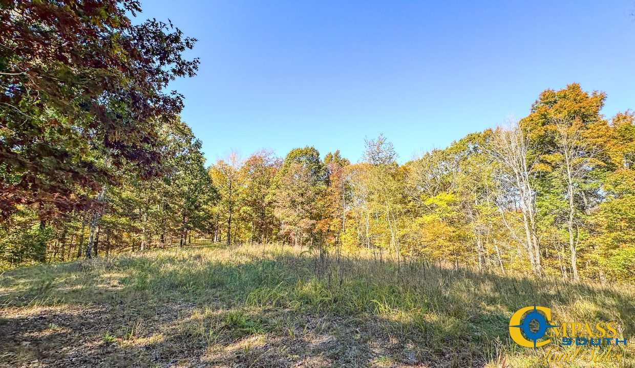 Pleasantville South Hunting Tennessee Land for Sale-46