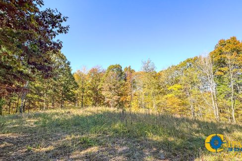 Pleasantville South Hunting Tennessee Land for Sale-46