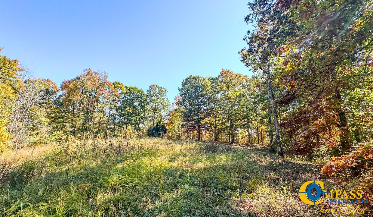 Pleasantville South Hunting Tennessee Land for Sale-47