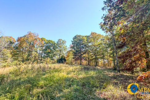 Pleasantville South Hunting Tennessee Land for Sale-47