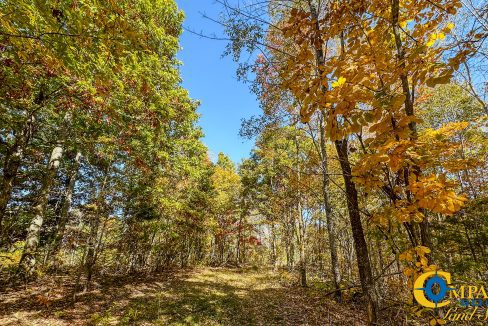 Pleasantville South Hunting Tennessee Land for Sale-48