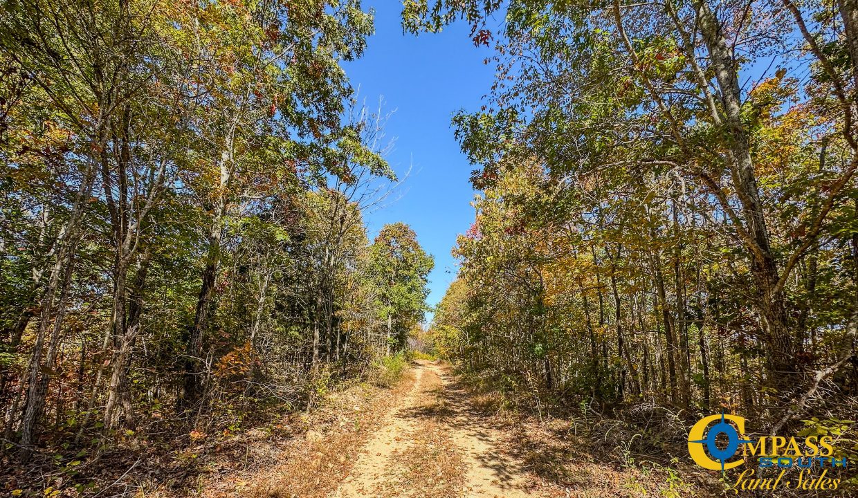 Pleasantville South Hunting Tennessee Land for Sale-49