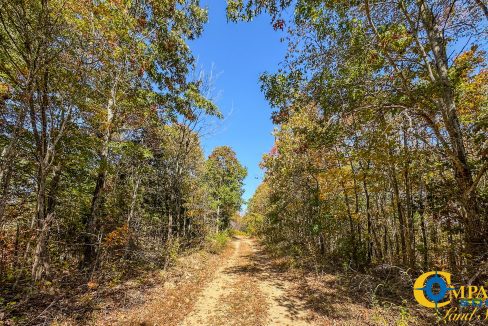 Pleasantville South Hunting Tennessee Land for Sale-49