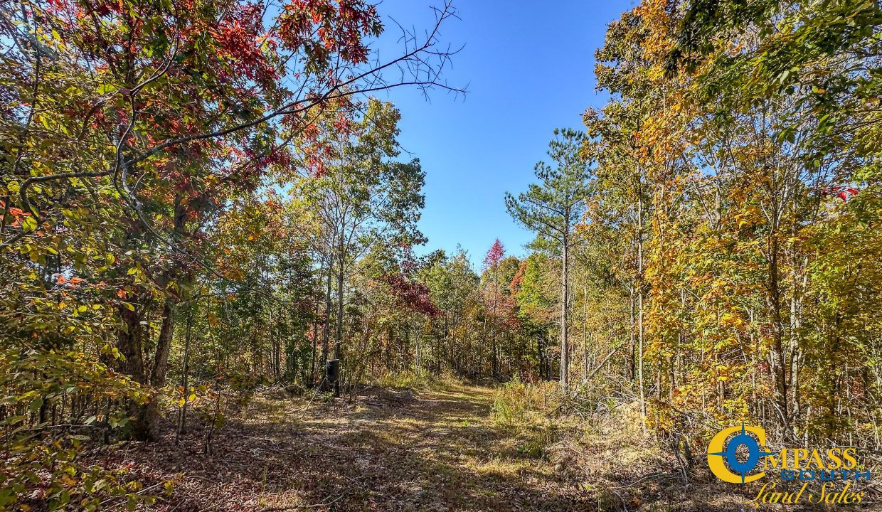 Pleasantville South Hunting Tennessee Land for Sale-50