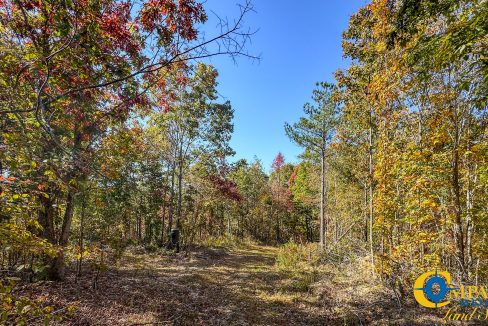 Pleasantville South Hunting Tennessee Land for Sale-50