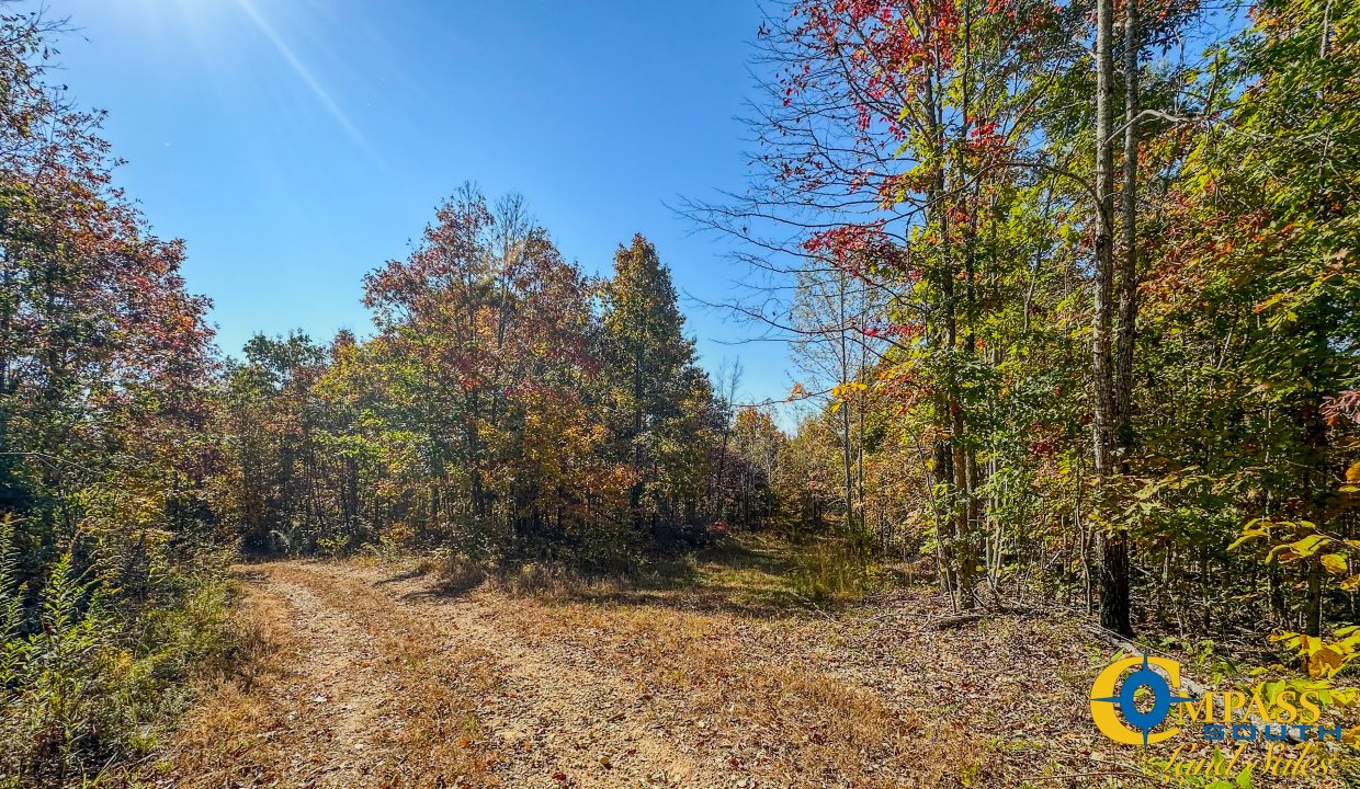 Pleasantville South Hunting Tennessee Land for Sale-51