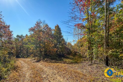 Pleasantville South Hunting Tennessee Land for Sale-51