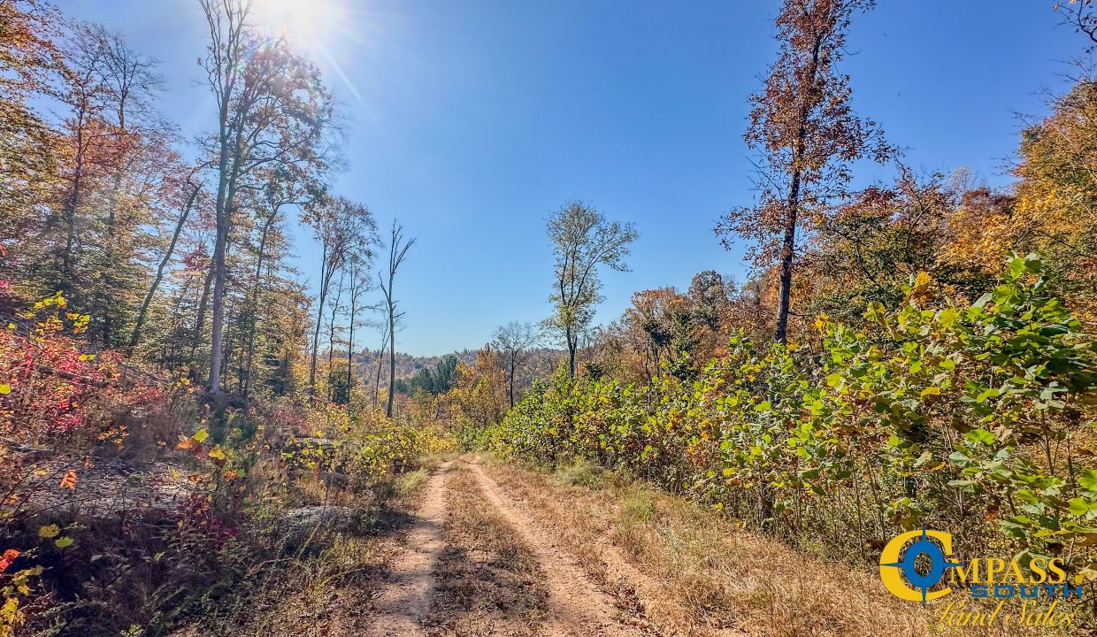 Pleasantville South Hunting Tennessee Land for Sale-53