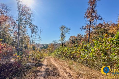 Pleasantville South Hunting Tennessee Land for Sale-53