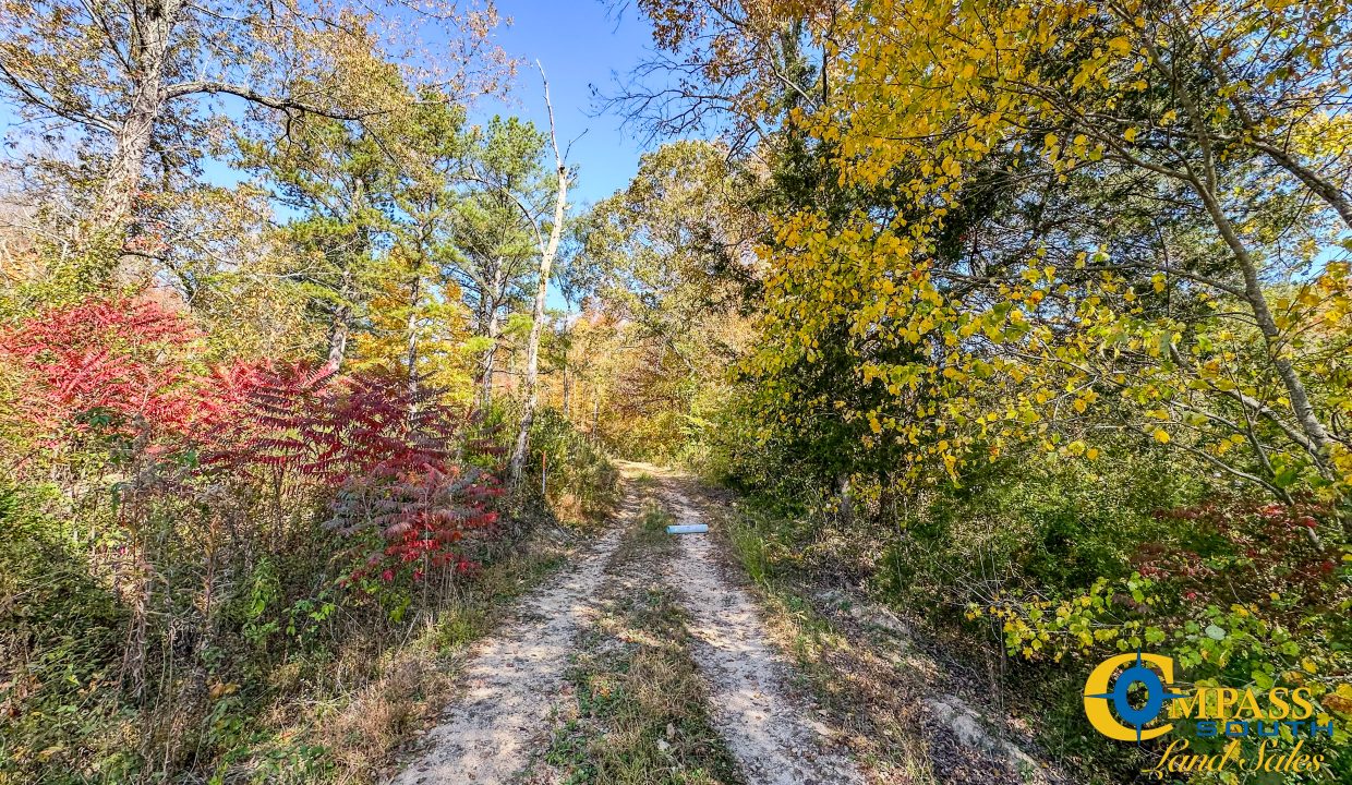 Pleasantville South Hunting Tennessee Land for Sale-55