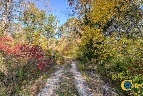 Pleasantville South Hunting Tennessee Land for Sale-55