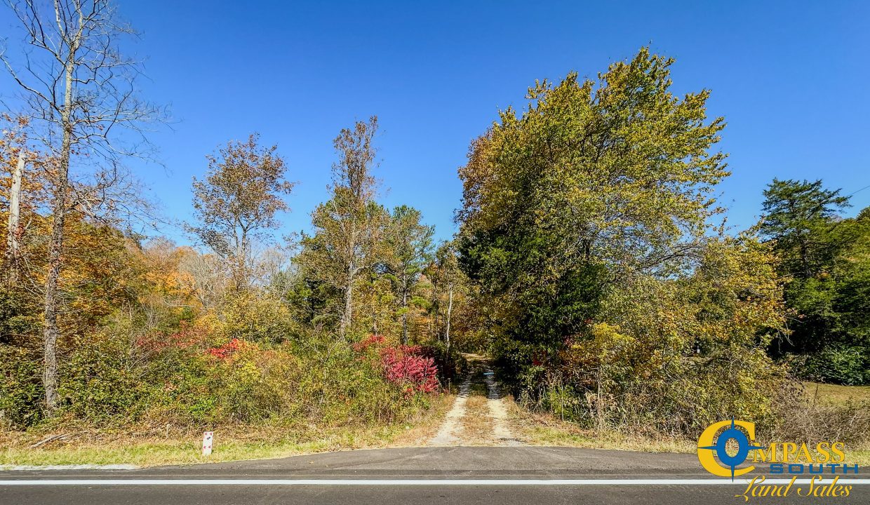 Pleasantville South Hunting Tennessee Land for Sale-56