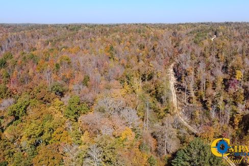 Pleasantville South Hunting Tennessee Land for Sale-59