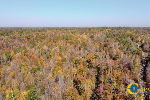 Pleasantville South Hunting Tennessee Land for Sale-63