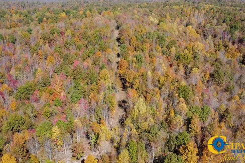 Pleasantville South Hunting Tennessee Land for Sale-65