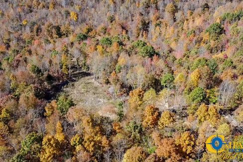 Pleasantville South Hunting Tennessee Land for Sale-66