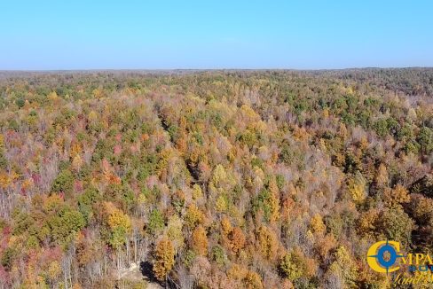 Pleasantville South Hunting Tennessee Land for Sale-67