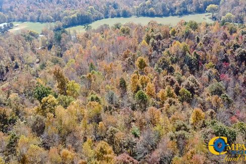 Pleasantville South Hunting Tennessee Land for Sale-68