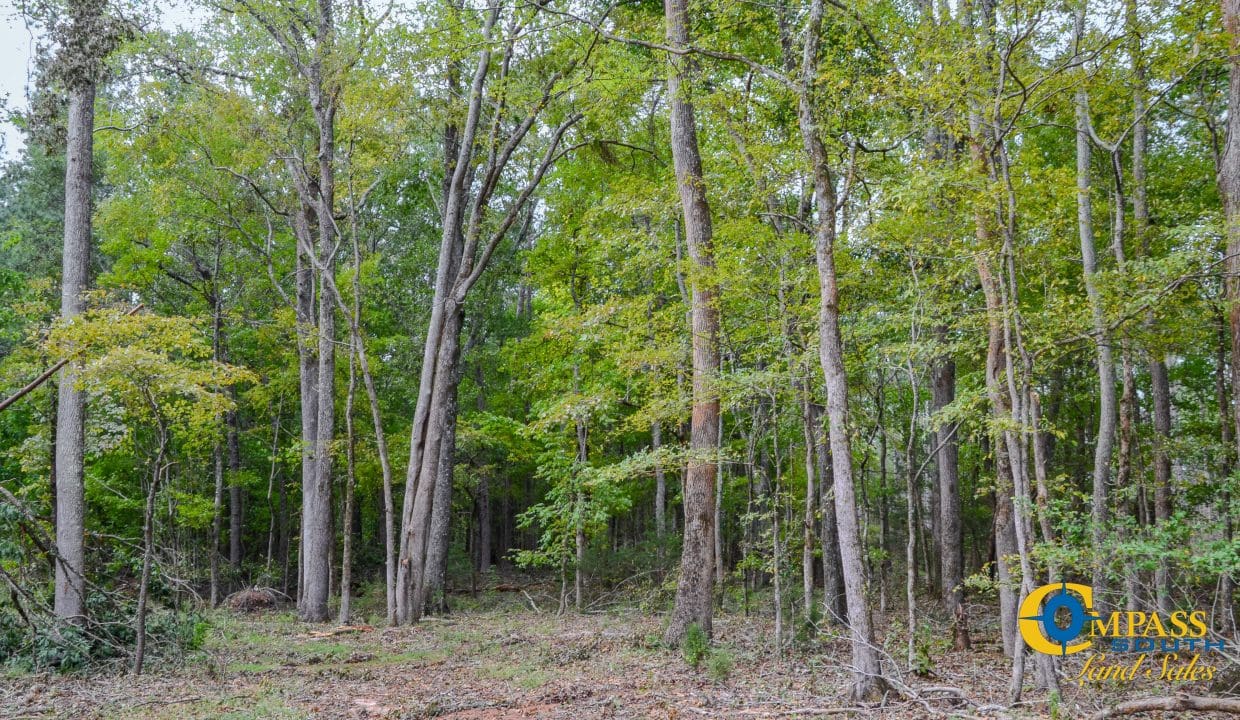 Sedalia HIll Land for Sale in South Carolina-16